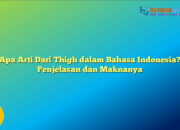 Apa Arti Dari Thigh dalam Bahasa Indonesia? Penjelasan dan Maknanya