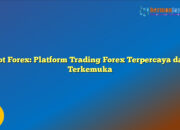 Hot Forex: Platform Trading Forex Terpercaya dan Terkemuka