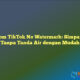 Save from TikTok No Watermark: Simpan Video Tanpa Tanda Air dengan Mudah
