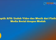 Snaptik APK: Unduh Video dan Musik dari Platform Media Sosial dengan Mudah